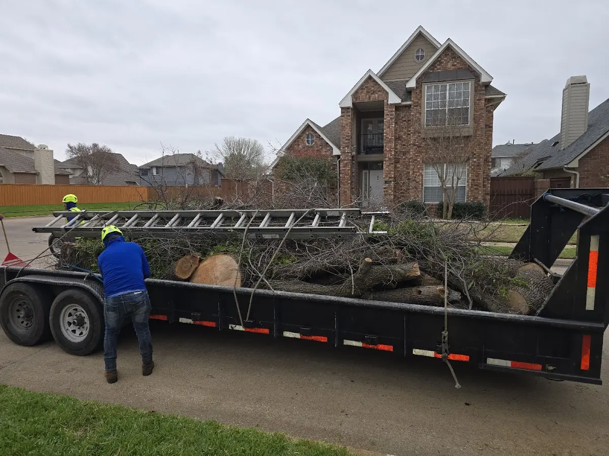 Expert Tree Fertilization with proper safety equipment in Weldon